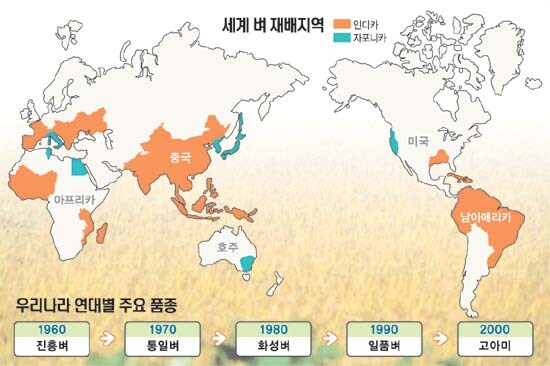 펀쿨섹좌 무관세 쌀 수입 선언 재밌는 점_2.jpg