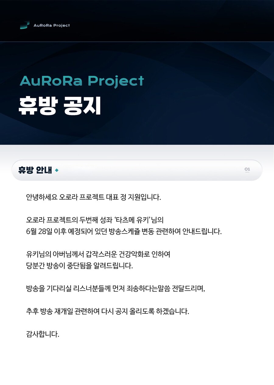 요번 어머니 백혈병 걸렸던 버튜버의 행적_2.png