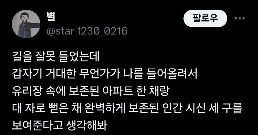 어느 작가의 집에 들어온 장수말벌이 겪은 일.twit_2.jpg