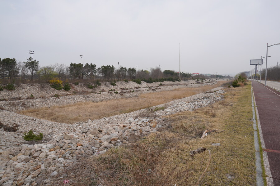 4월, 두번째 영종도 탐조_9.jpg