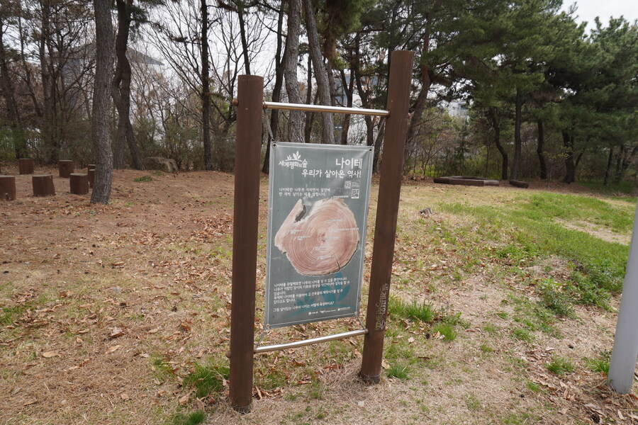 4월, 두번째 영종도 탐조_27.jpg