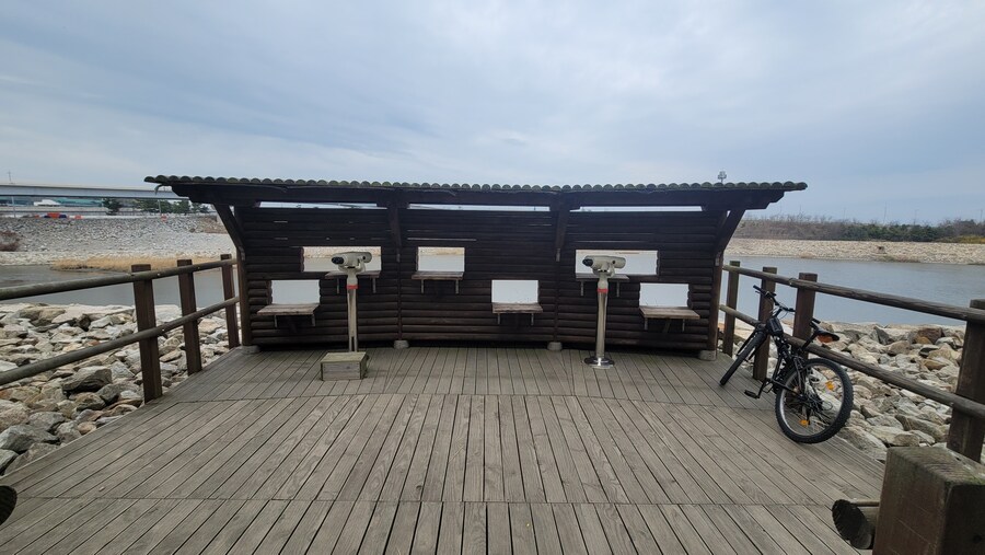 4월, 두번째 영종도 탐조_28.jpg