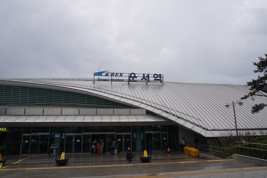 4월, 두번째 영종도 탐조_36.jpg