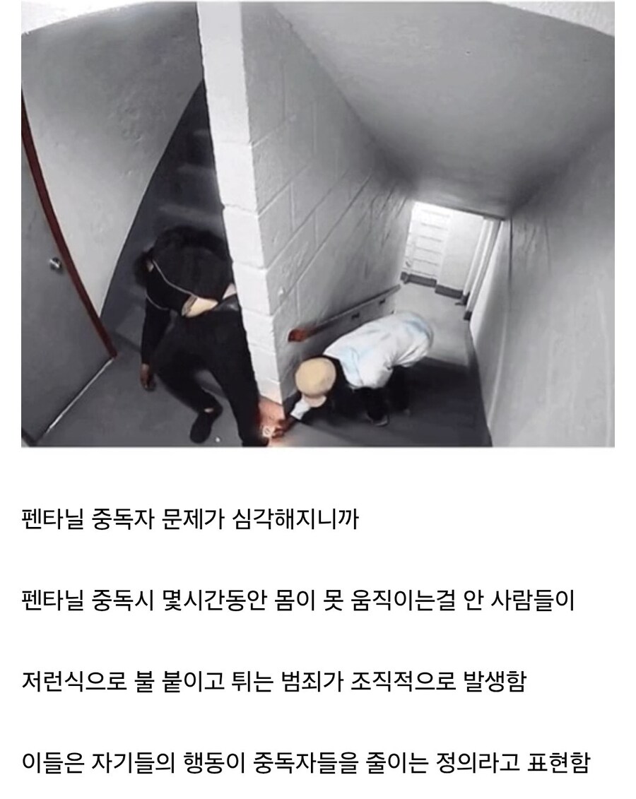 펜타닐 중독자 사냥에 나선 자경단
