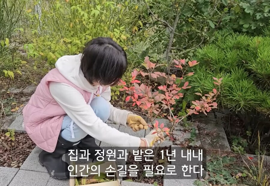 휴식을 위해 '귀촌'을 한 사람들이 깨닫게 되는 현실_19.jpg