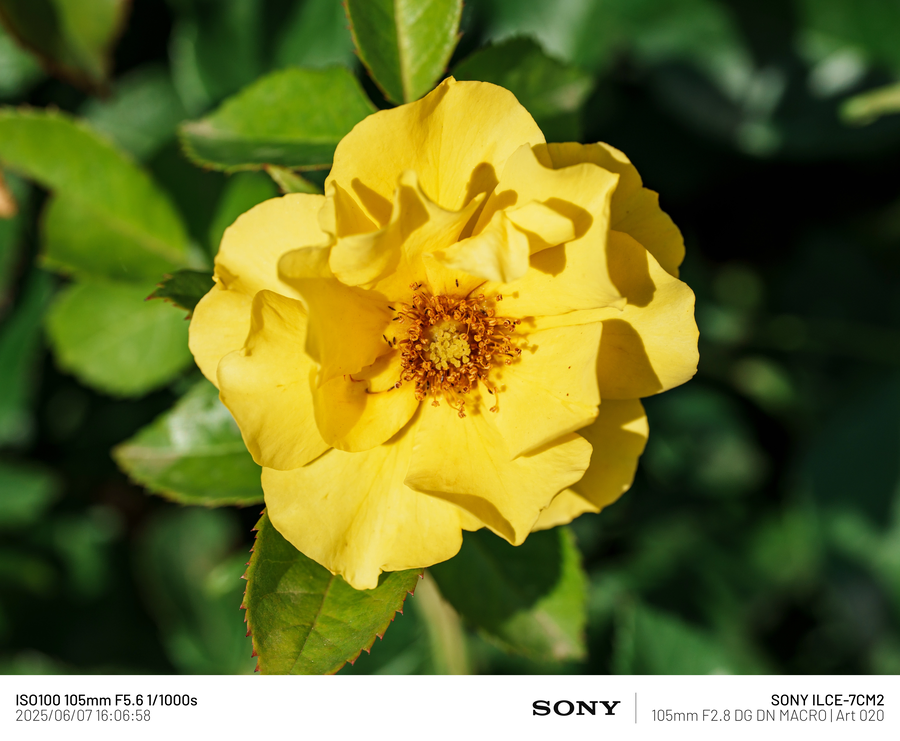 [사진] 남성 갱년기 픽_4.webp