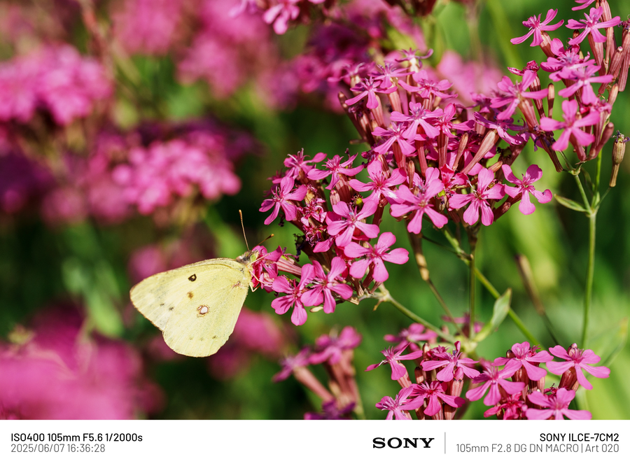 [사진] 남성 갱년기 픽_9.webp