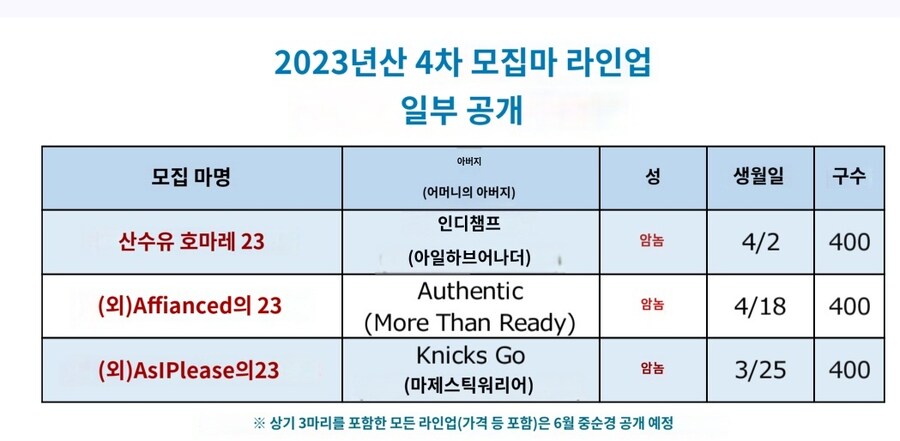 말딸,경마) 닉스고 자식이 일본에서도 데뷔하는구나_1.jpg
