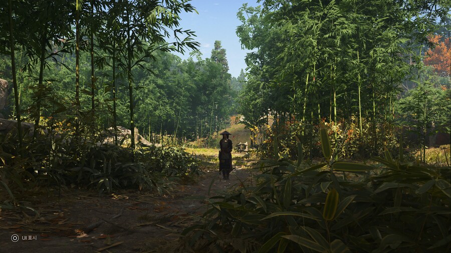 Assassin's Creed® Shadows_5.jpg