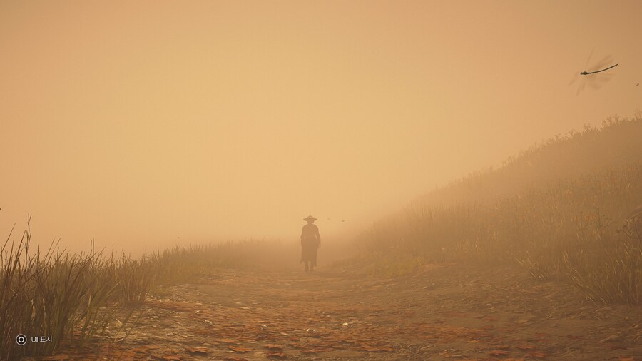 Assassin's Creed® Shadows_13.jpg