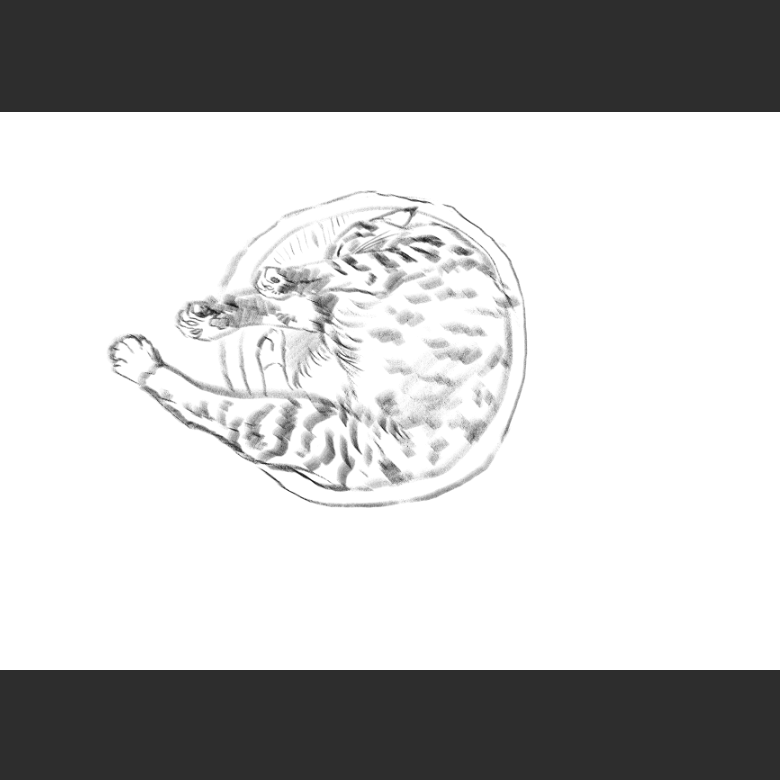 우리집 고양이그림 보고가셈_4.png