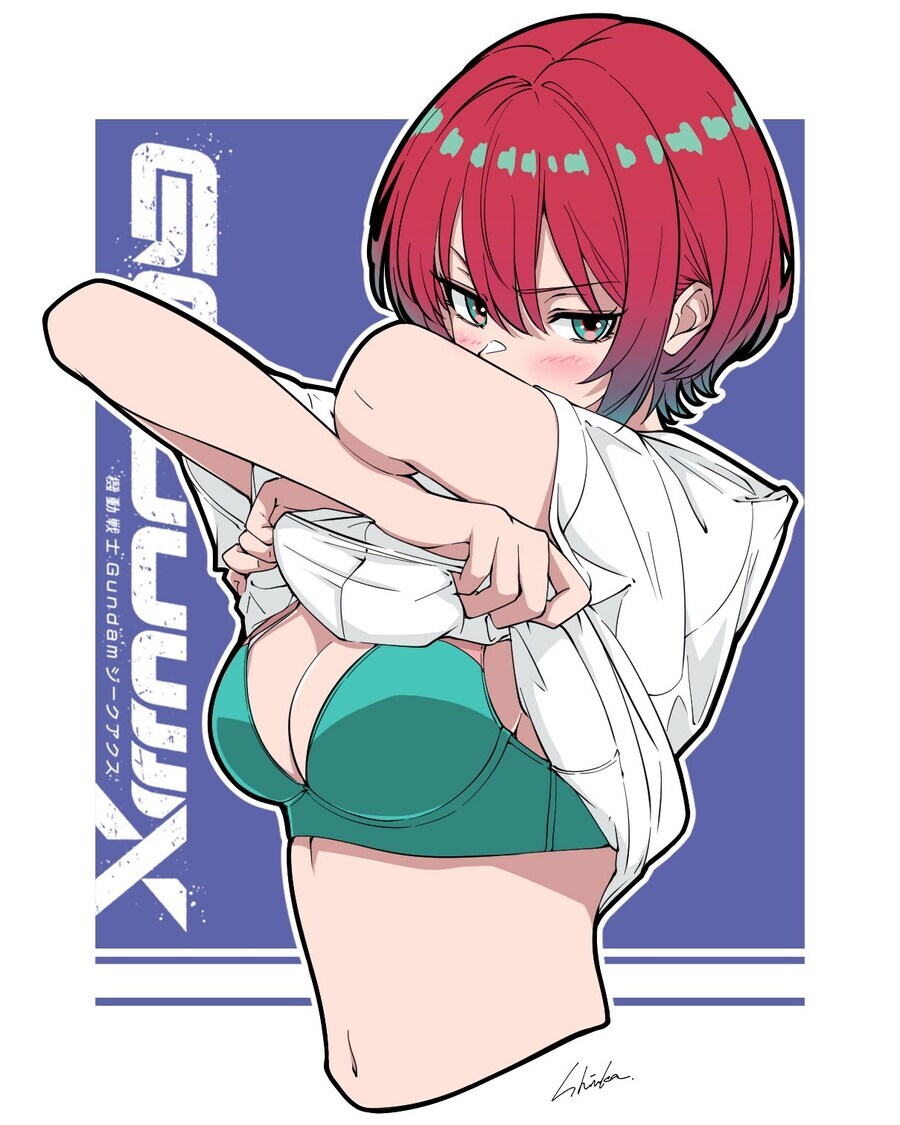 건담) 지쿠악스는 지금꼬라지면 간신히 평작인데_2.jpg