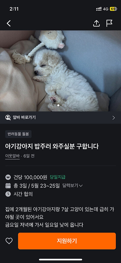 462명이 몰린 강아지 밥주는 알바.JPG_1.jpg