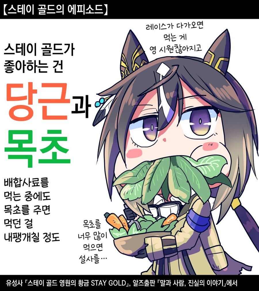 [말딸] 스테고의 여섯 이야기_4.jpg
