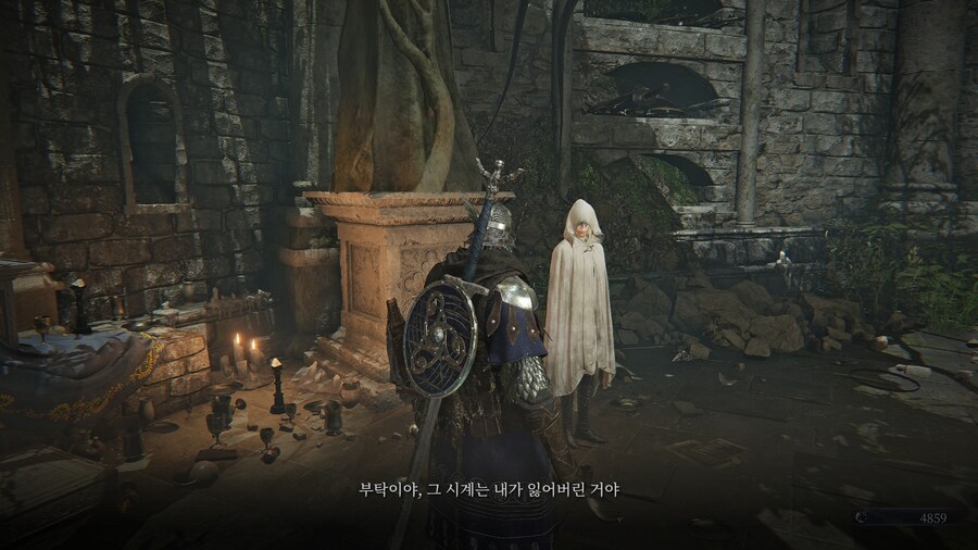 (엘든링) 엘밤통 캐릭터 스토리 - 레이디 편_2.jpg