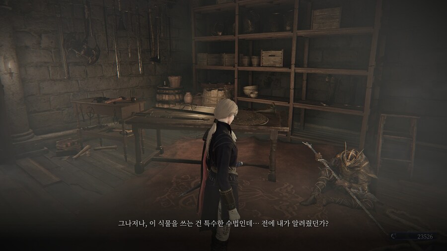 (엘든링) 엘밤통 캐릭터 스토리 - 레이디 편_21.jpg