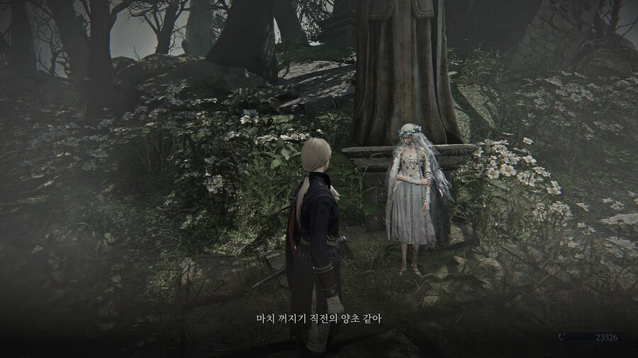 (엘든링) 엘밤통 캐릭터 스토리 - 레이디 편_28.jpg
