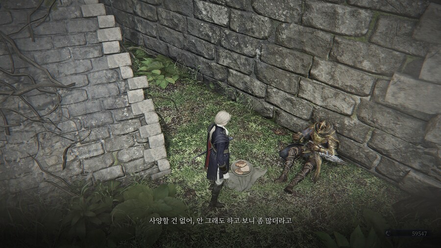 (엘든링) 엘밤통 캐릭터 스토리 - 레이디 편_48.jpg