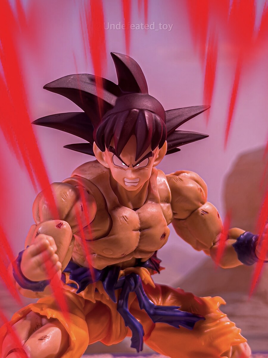 [SHF] 낙오자 사이야인 손오공_20.jpg