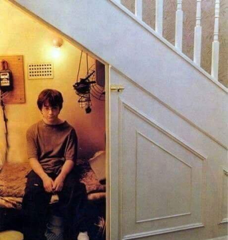 해리포터) 머글의 끔찍한 학대로 인생 조진 캐릭터_1.jpg