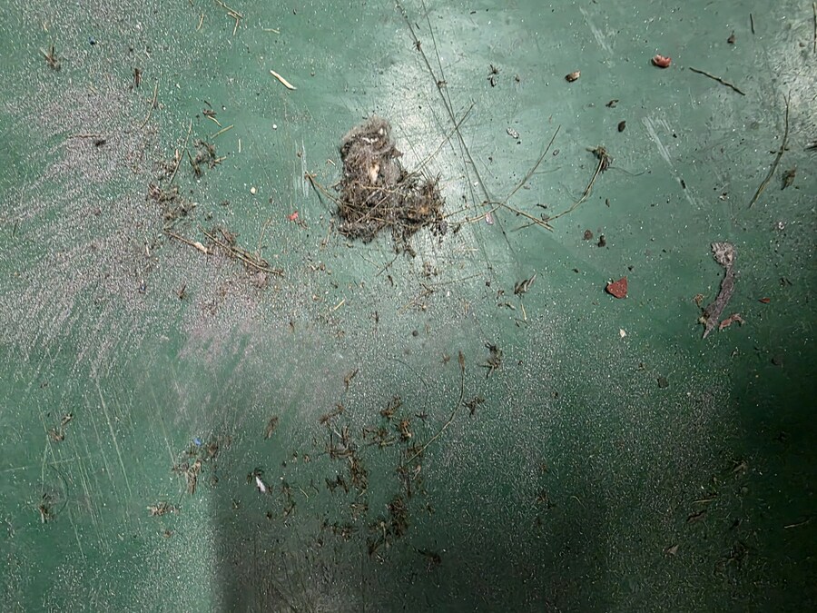 혐)벌레 새끼들 때문에 짜증나네_3.jpg