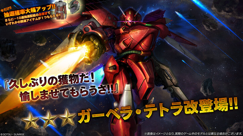 오늘은 거베라 테트라 카이_1.jpg