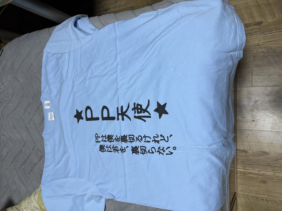 버튜버) 헤이민의 의무(?) 이행하기_1.jpg