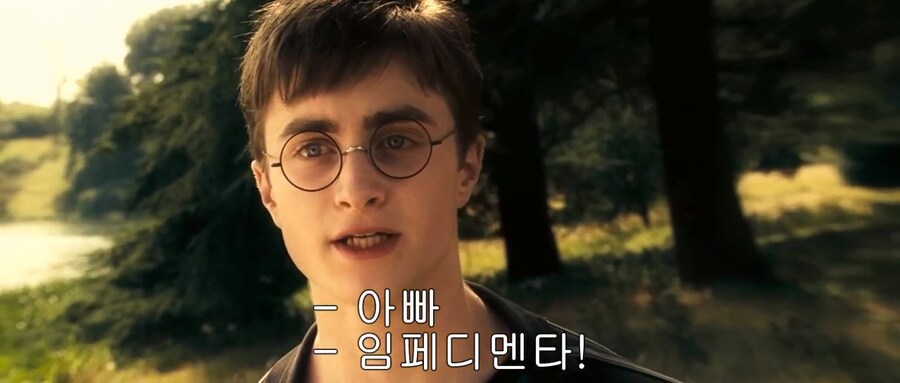 해리포터)해리 포터가 아버지의 학교폭력에 감사해야 할 이유(?)_2.png