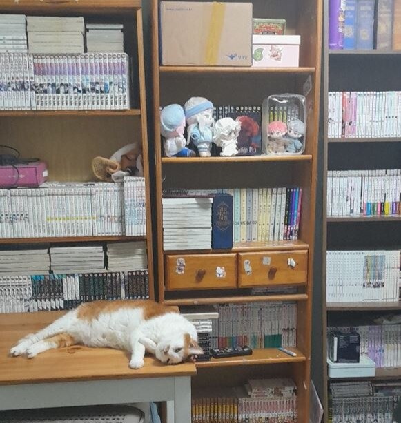 책을 샀어요._6.jpg