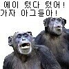 우왁굳 팬덤 문제점이 계속 나오는 이유_1.jpg