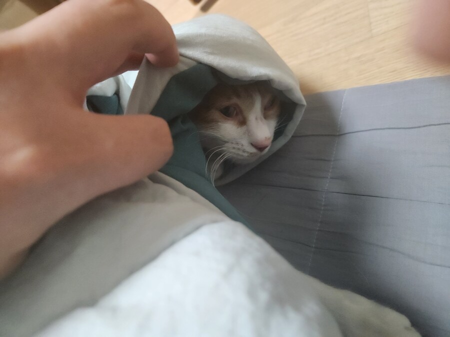 사건 사고 터질때 커뮤질하면_2.jpg