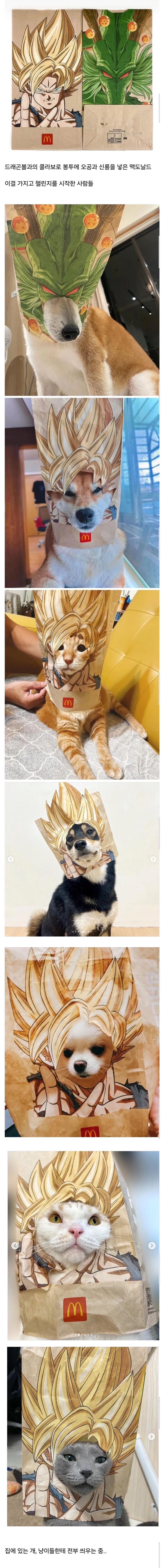 대만 맥도날드에서 난리난 것.jpg_1.jpg