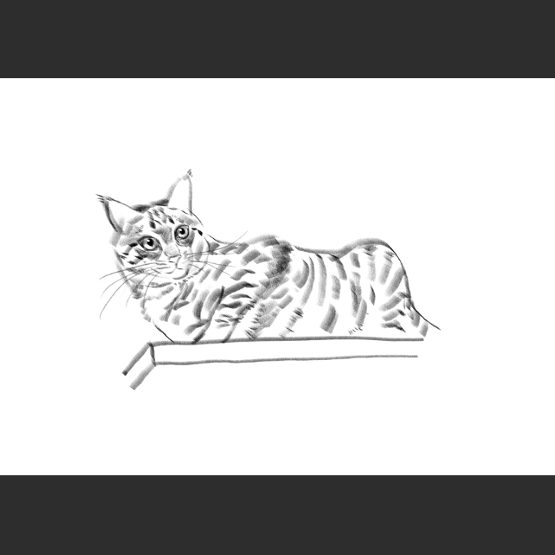 우리집 고양이그림 보고가셈_2.png