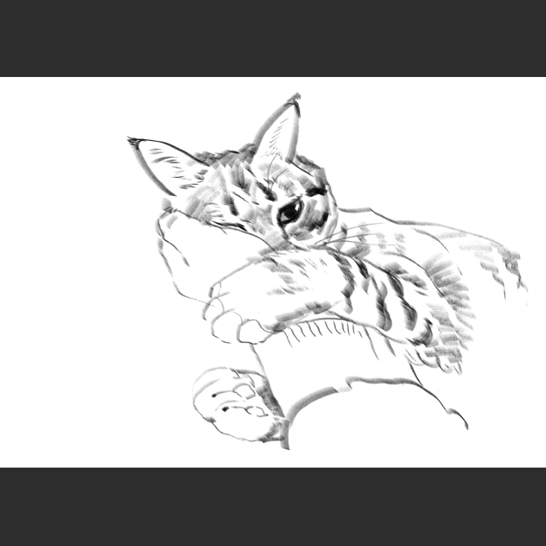 우리집 고양이그림 보고가셈_6.png