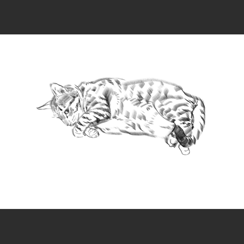 우리집 고양이그림 보고가셈_8.png