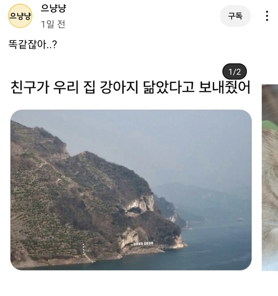 이거유게이가쓴글인데 수출된건가_1.jpg
