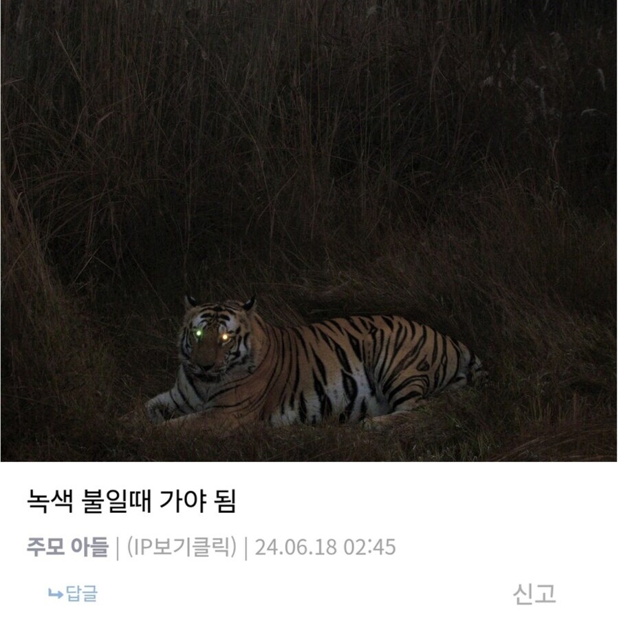 녹색 불일때 가야 함.jpg_1.jpg