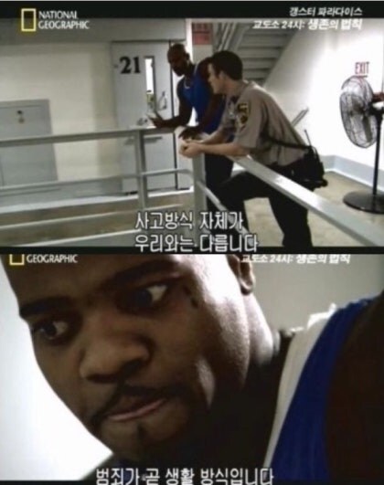개딸 충격 발언 "북한에 돈 줘도 나라 잘만 살리면 되지.."_1.png