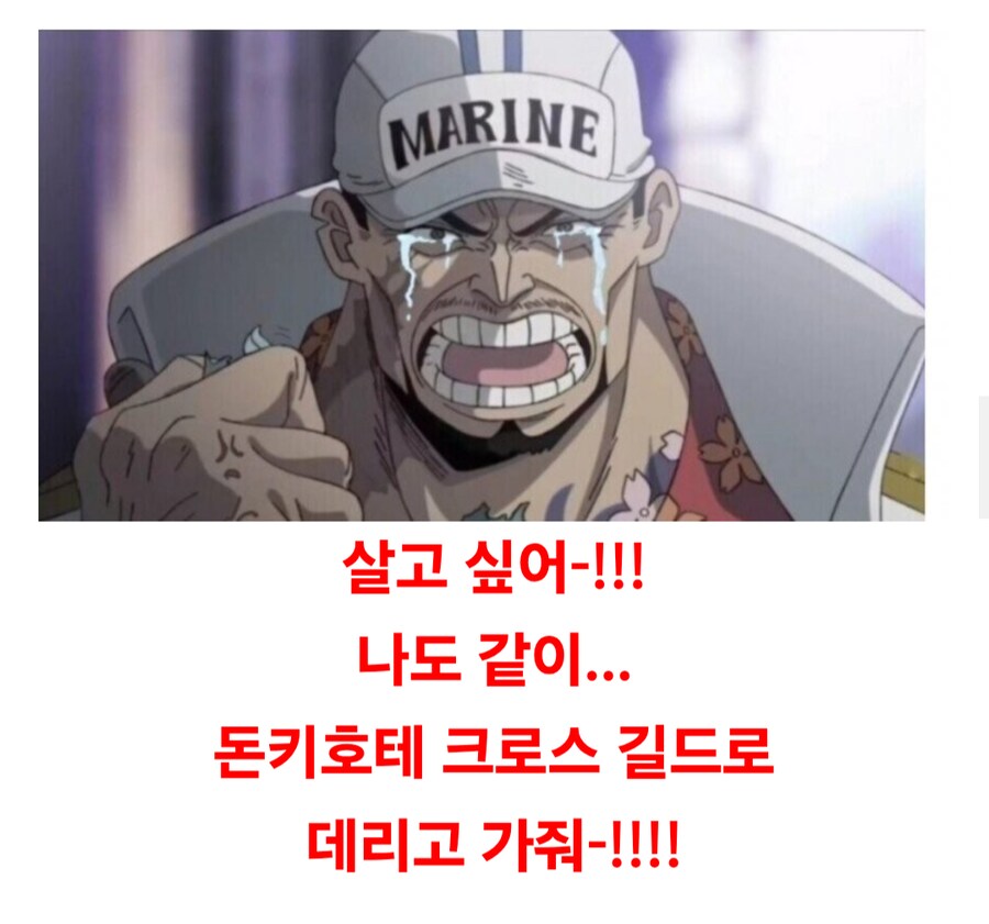 실시간 아카이누...돈키호테 크로스 길드로 데려다줘!!!_16.png
