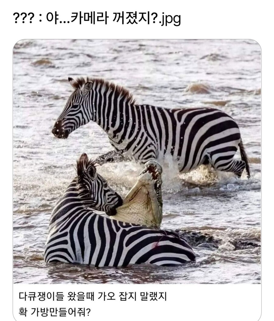 ??? : 야야, 카메라 꺼졌지?_1.jpg