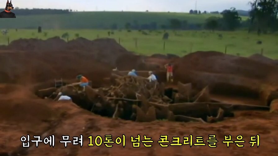브라질에서 발견된 초대형 개미집_5.jpg
