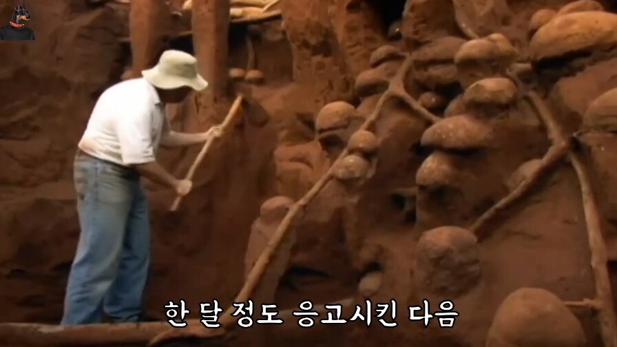 브라질에서 발견된 초대형 개미집_6.jpg