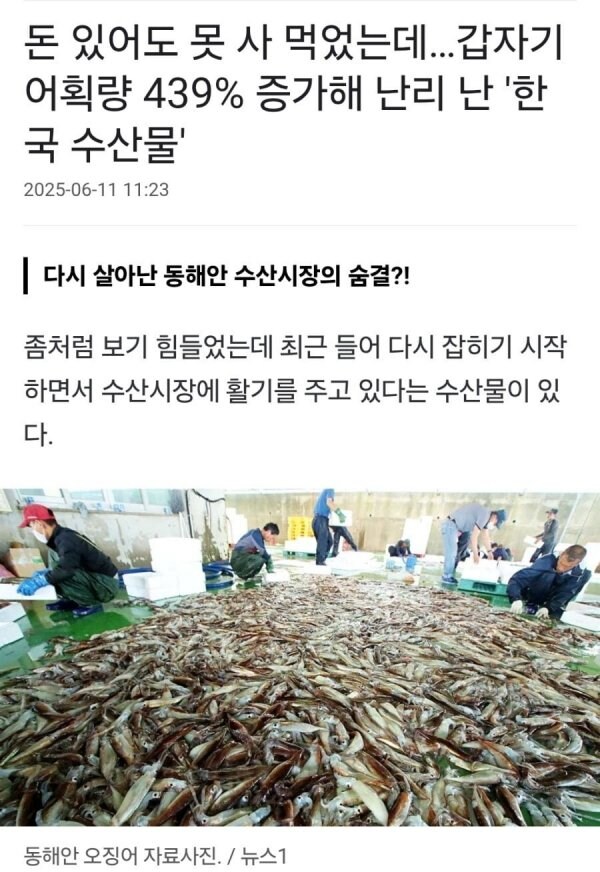 어획량이 439%증가한 수산물...