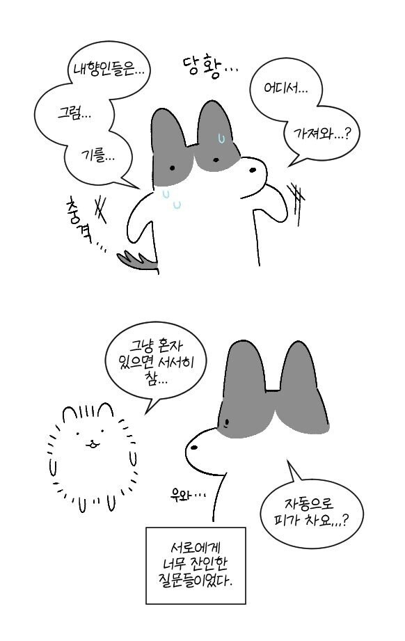 자기를 내향인이라 착각한 외향인_2.jpg