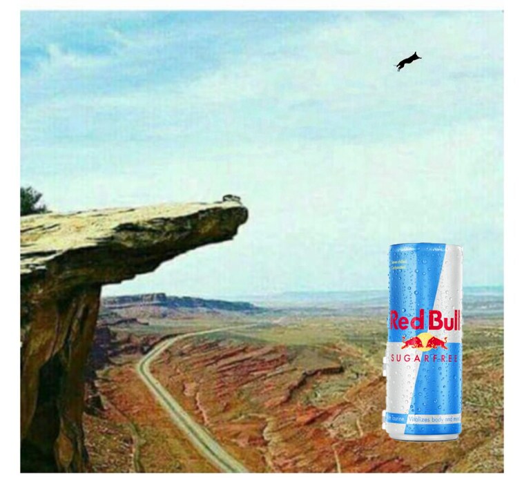 사진으로 알 수 있는 3가지 교훈_2.png