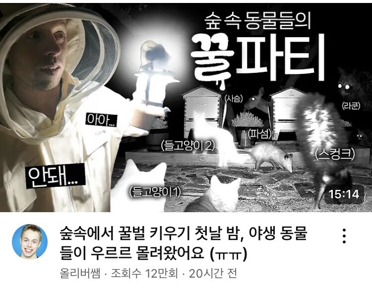 양봉 시작한 올리버쌤 근황_1.jpg