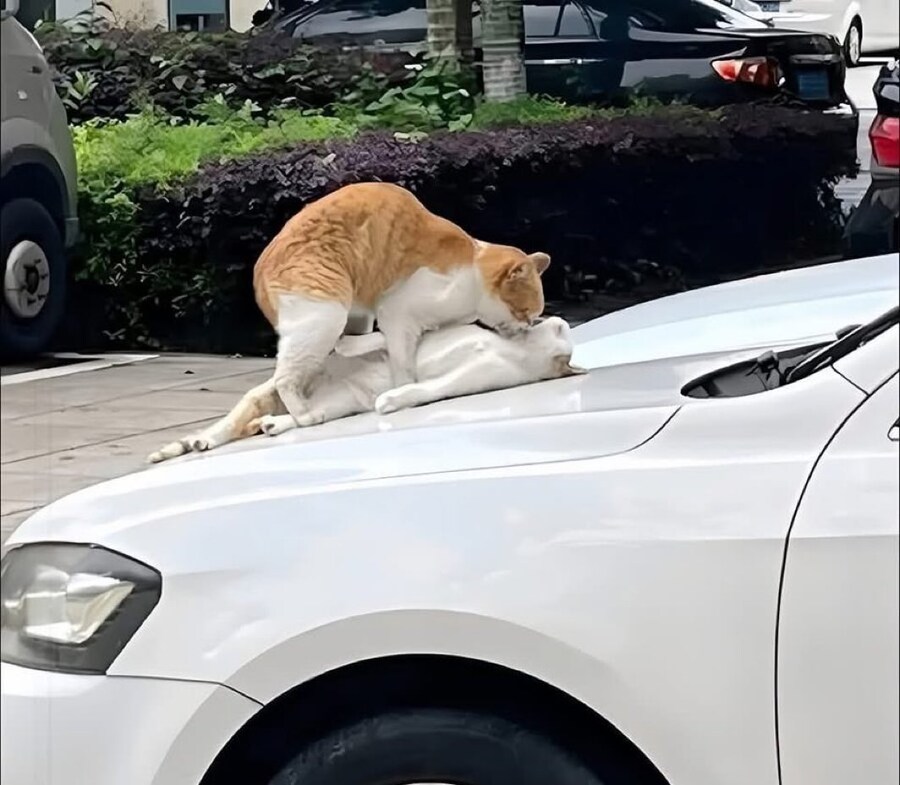 "대체 왜냐!! 널 위해 난 모든걸 다 바쳤는데!!!"