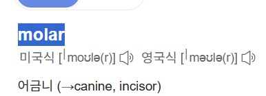 어금니를 영어로 뭐라하는지 모르것는디_1.png