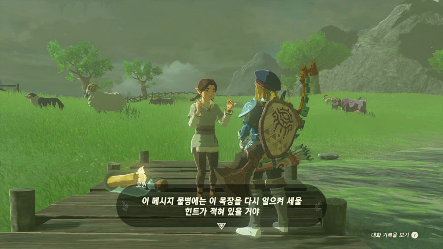 젤다의 전설 티어즈 오브 더 킹덤_10.png