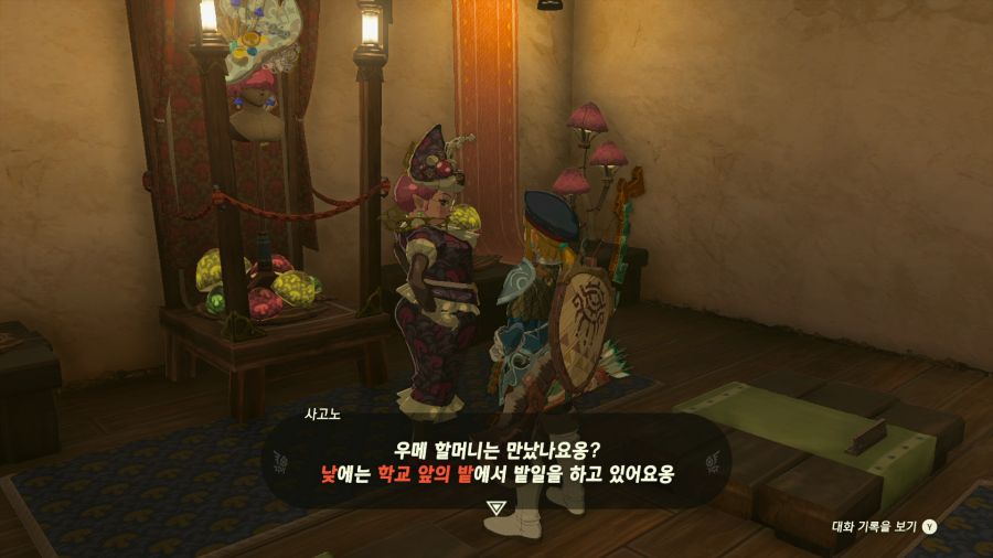 젤다의 전설 티어즈 오브 더 킹덤_11.png